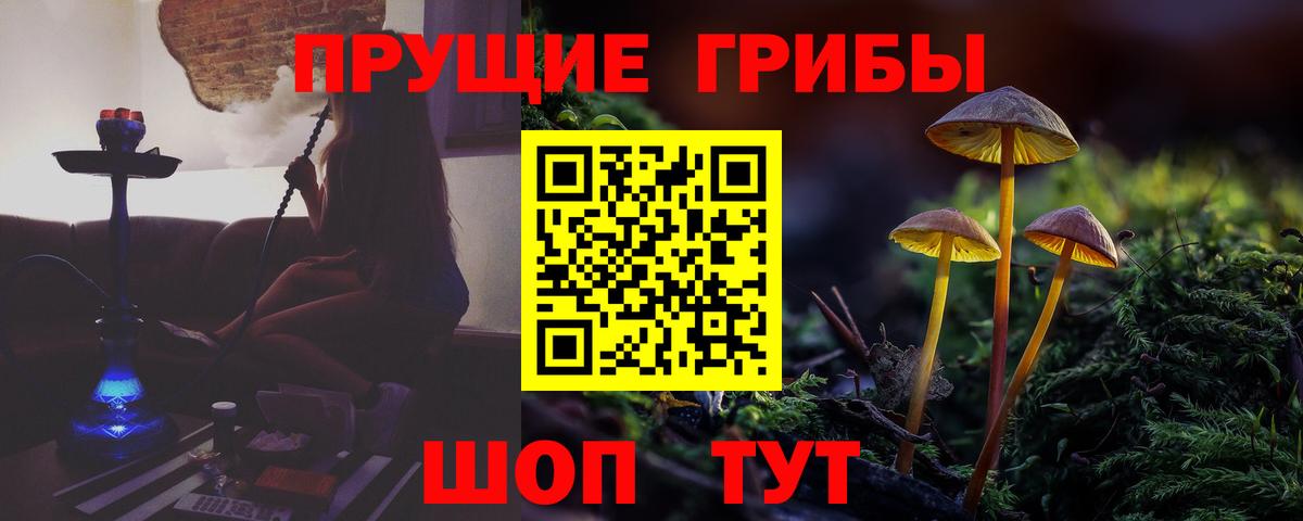 хочу   Вход с VPN  Абакан  Галлюциногенные грибы мухоморы  Псилоцибиновые грибы GOLDEN TEACHER 